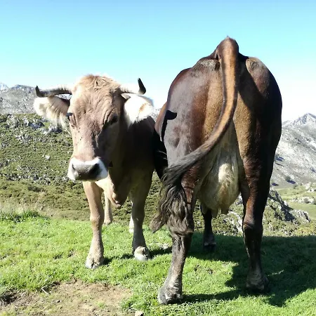 El Balcon Del Sella Appartement *